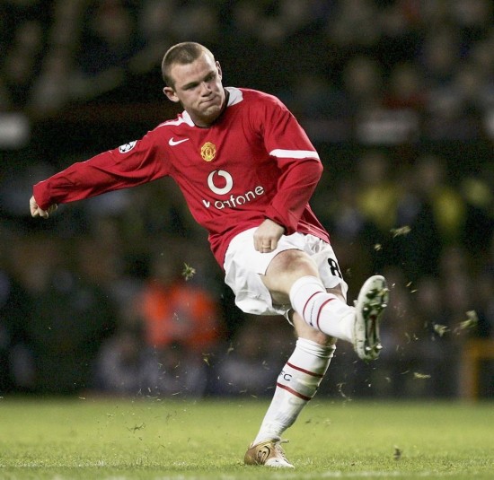 显而易见的 显而易见的